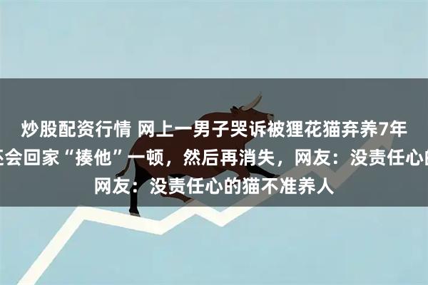 炒股配资行情 网上一男子哭诉被狸花猫弃养7年，每天半夜还会回家“揍他”一顿，然后再消失，网友：没责任心的猫不准养人