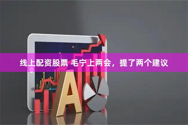 线上配资股票 毛宁上两会，提了两个建议