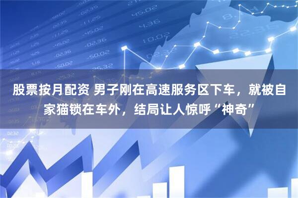 股票按月配资 男子刚在高速服务区下车，就被自家猫锁在车外，结局让人惊呼“神奇”